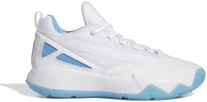 Dame Certified 2 Low Herren-Basketballschuhe
