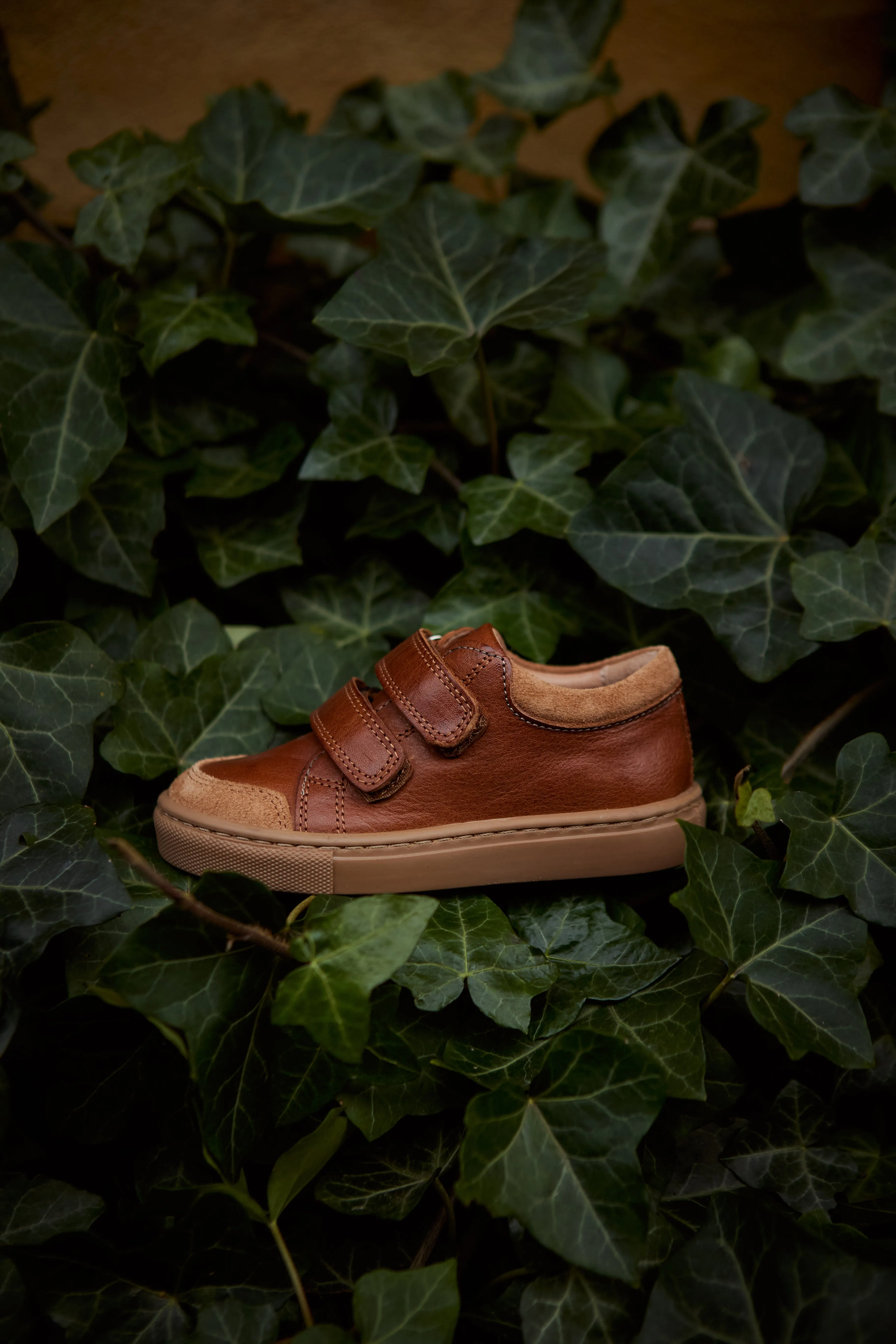 Niedrige Sneaker - Cognac